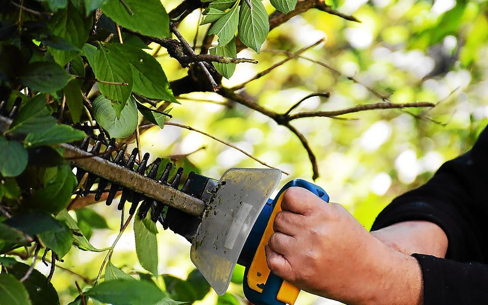 Un agent communal a perdu plusieurs doigts dans un accident de travail à Vern-sur-Seiche.